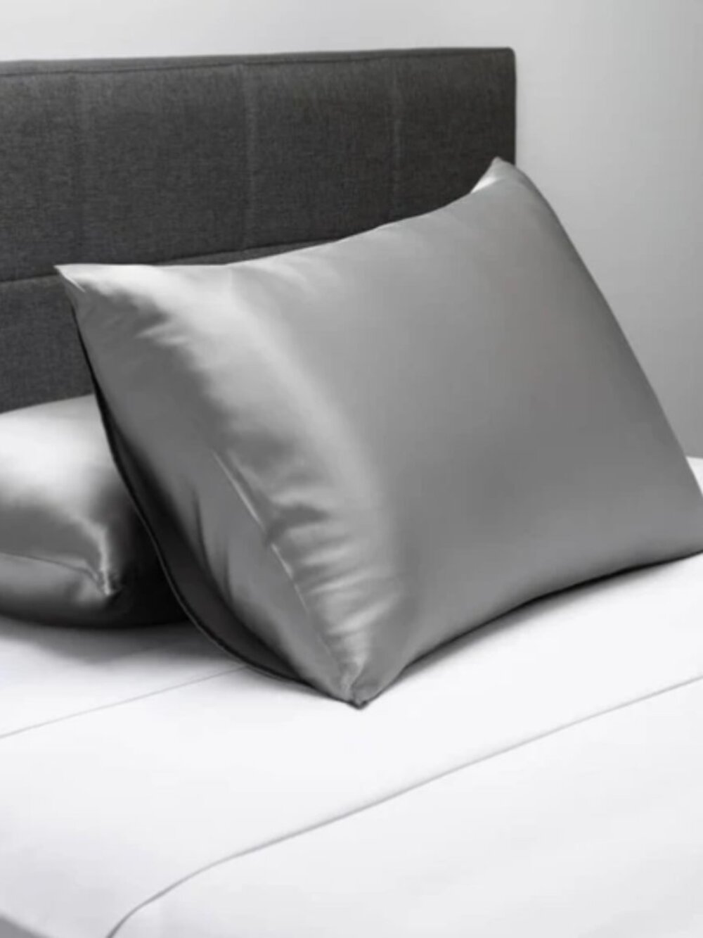 Set of Two Fisher Finery 25 Momme Pure Mulberry Silk Standard Pillowcases
